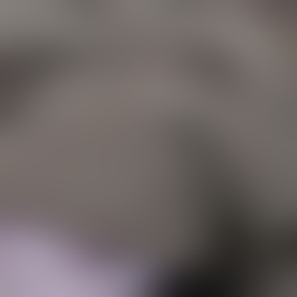 Briggs New York Brown Blazer Jacket - Picture 5 of 5